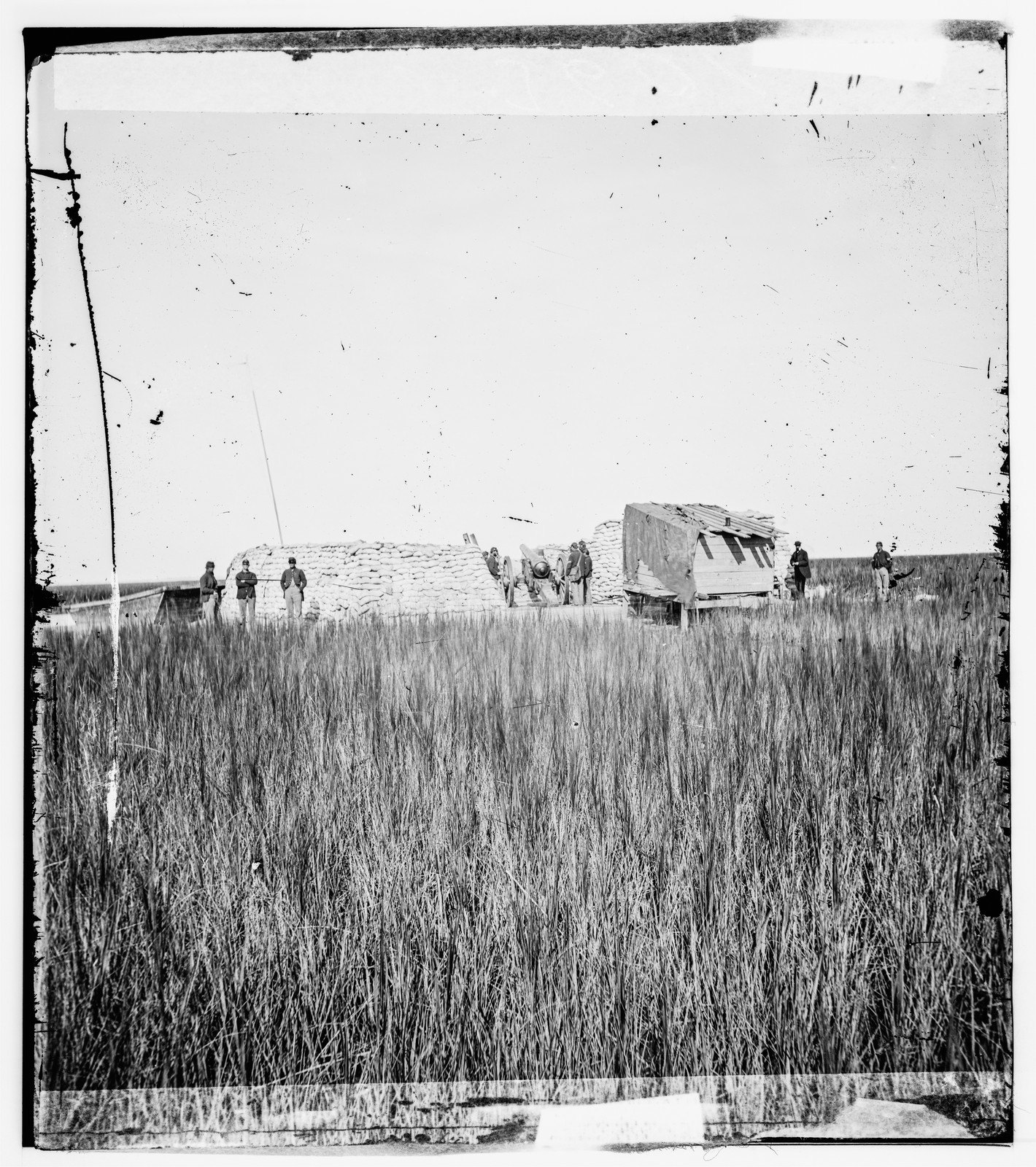 Across the Marsh