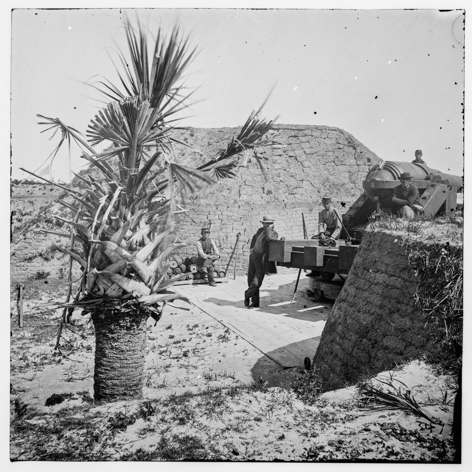 The Gun Under the Palmetto